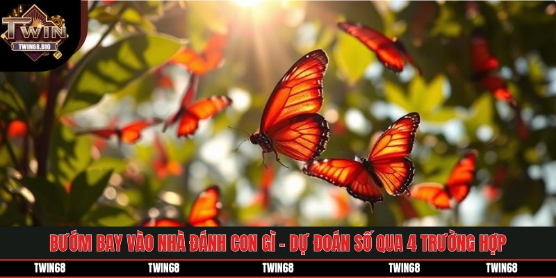Bướm Bay Vào Nhà Đánh Con Gì - Dự Đoán Số Qua 4 Trường Hợp