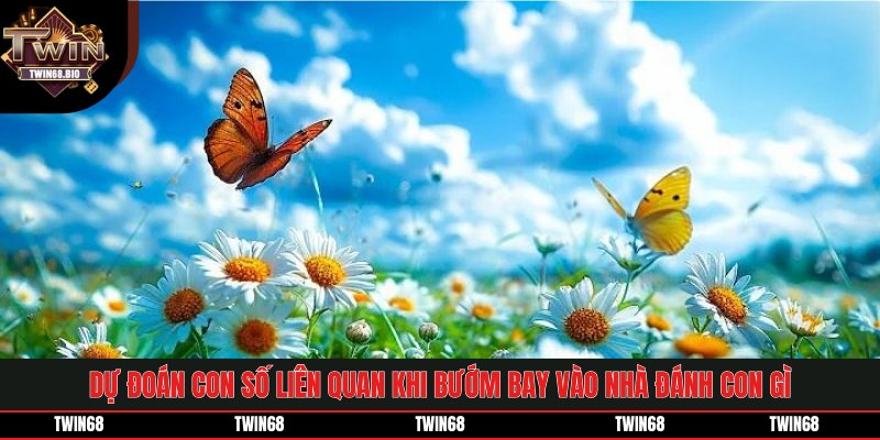 Dự đoán con số liên quan khi bướm bay vào nhà đánh con gì