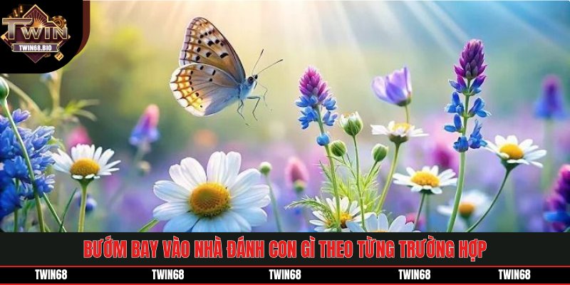 Bướm bay vào nhà đánh con gì theo từng trường hợp