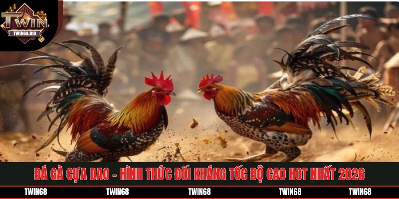 Đá Gà Cựa Dao - Cá Cược Tốc Độ Cao Hot Nhất 2026