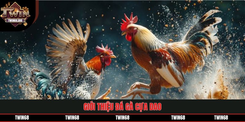Giới thiệu đá gà cựa dao