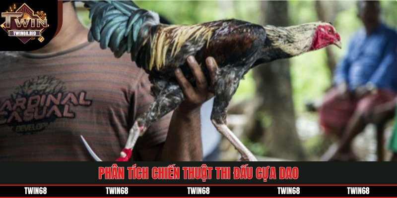 Phân tích chiến thuật thi đấu cựa dao