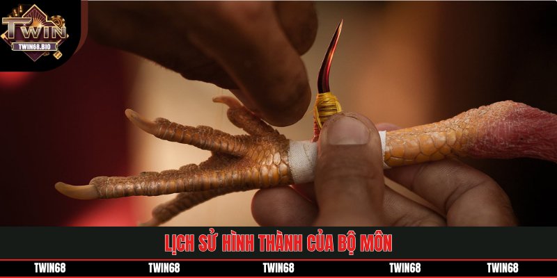 Lịch sử hình thành của bộ môn