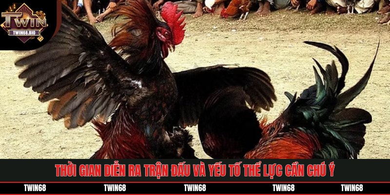 Thời gian diễn ra trận đấu và yếu tố thể lực cần chú ý