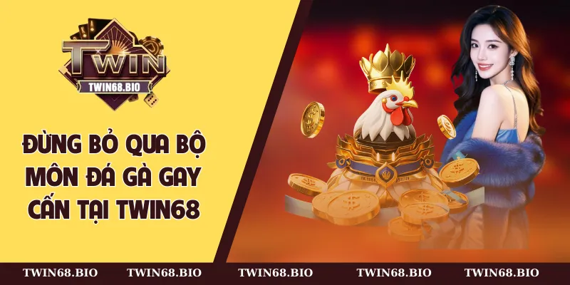 Đừng bỏ qua bộ môn đá gà gay cấn tại TWIN68