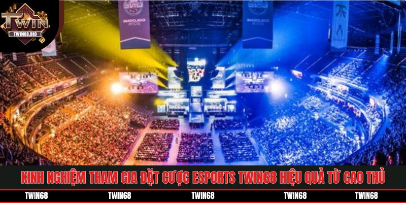 Kinh nghiệm tham gia đặt cược Esports TWIN68 hiệu quả từ cao thủ