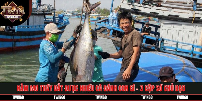 Nằm Mơ Thấy Bắt Được Nhiều Cá Đánh Con Gì - 3 Cặp Số Nóng