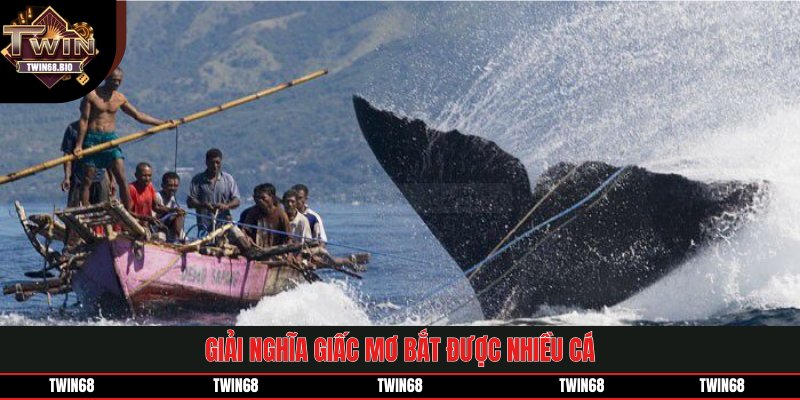 Giải nghĩa giấc mơ bắt được nhiều cá