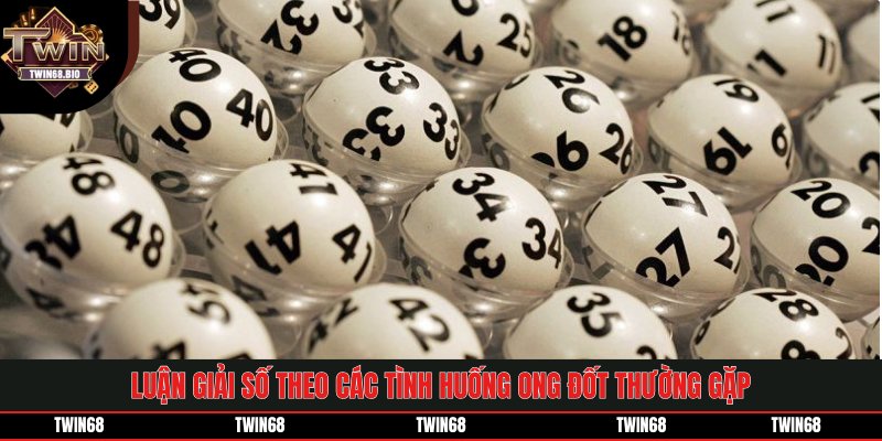 Luận giải số theo các tình huống ong đốt thường gặp