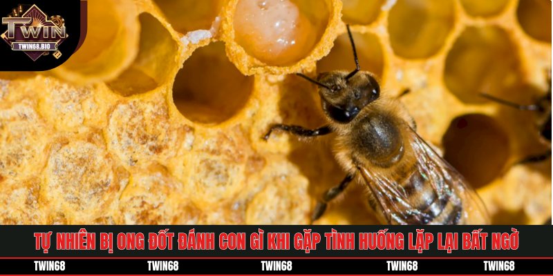 Tự nhiên bị ong đốt đánh con gì khi gặp tình huống lặp lại bất ngờ